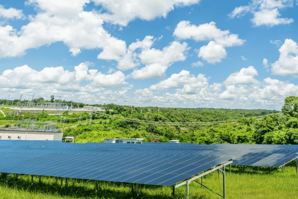 PV Freiflächenanlagen: Erträge maximieren durch optimale Standortwahl