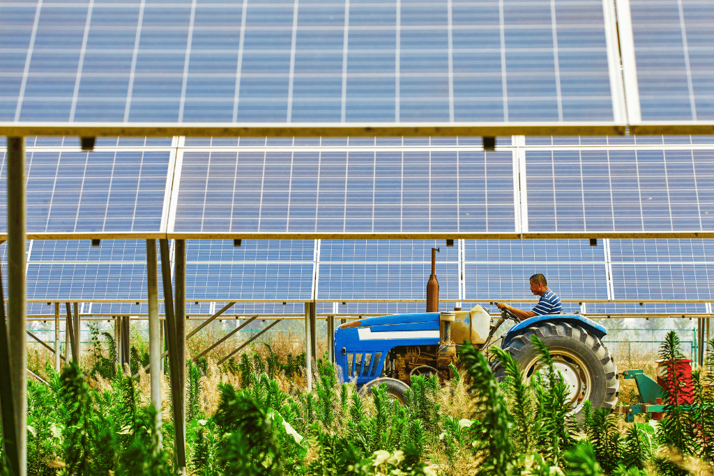 Wie Sie durch Verpachtung von Ackerland für Photovoltaik steuerliche Vorteile nutzen können