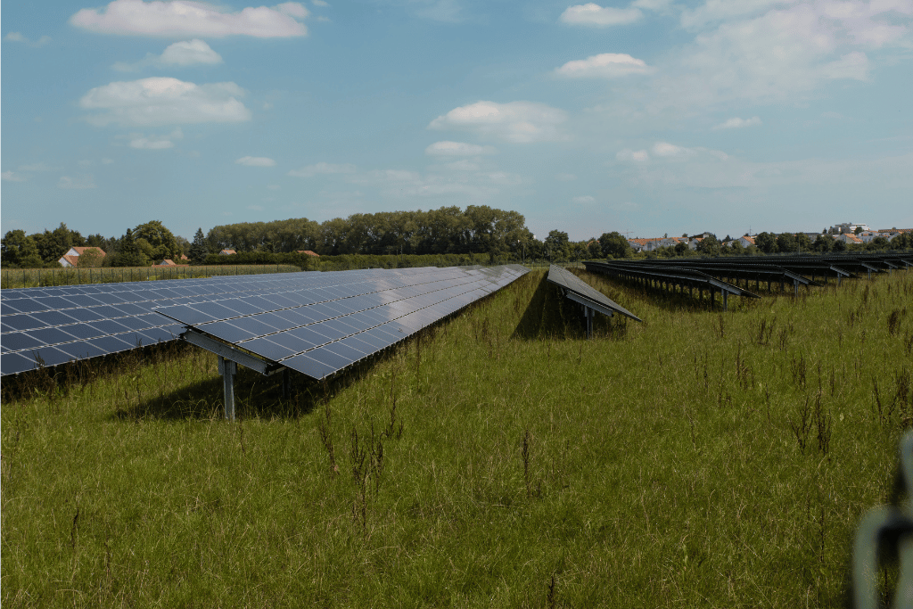 Solaranlage auf Freifläche: So nutzen Sie Ihr Grundstück optimal für nachhaltige Energie